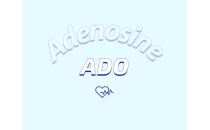 腺苷作為抗脫發(fā)外用制劑所發(fā)揮的作用